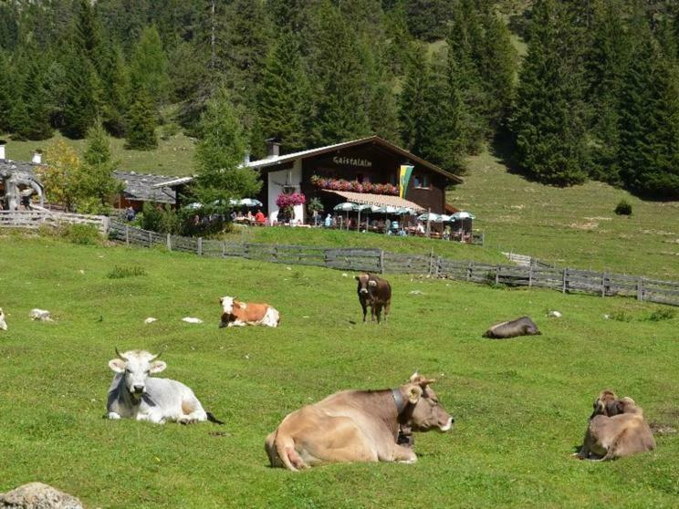 Xanderhof Villa Leutasch Esterno foto